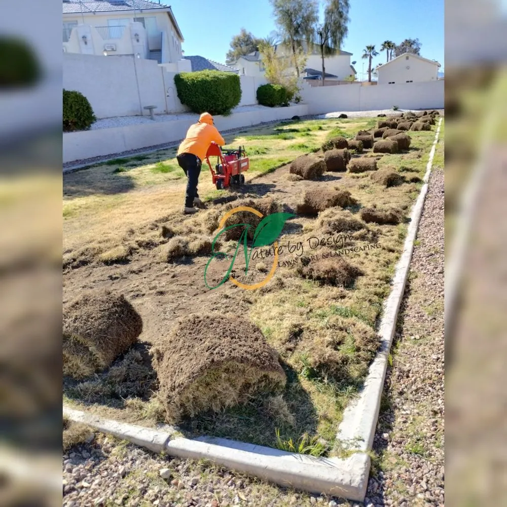 Local yard cleanup service in Las Vegas, NV by Nature by Design