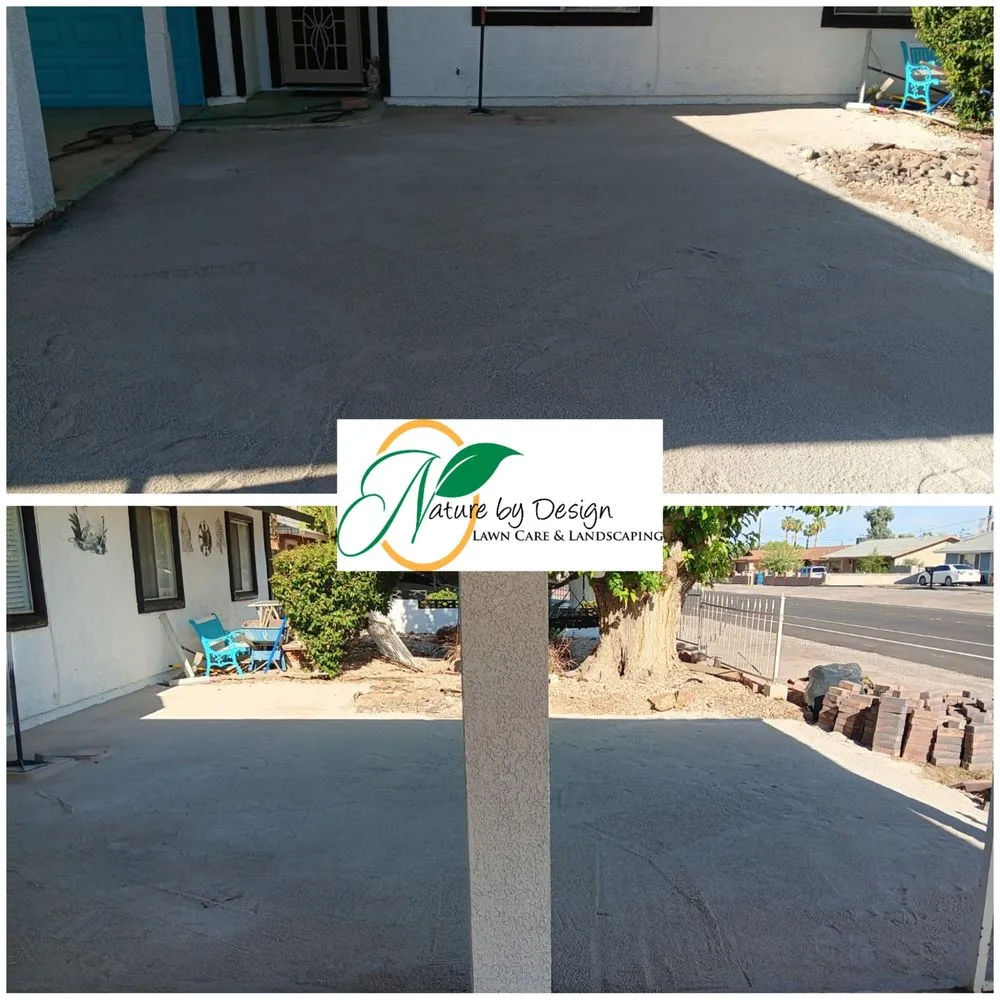 Professional yard cleanup service in Las Vegas, NV by Nature by Design