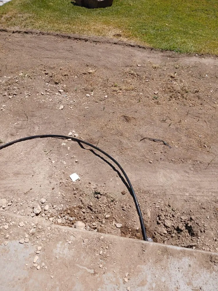 Trusted lawn care service in Las Vegas, NV - Nature by Design