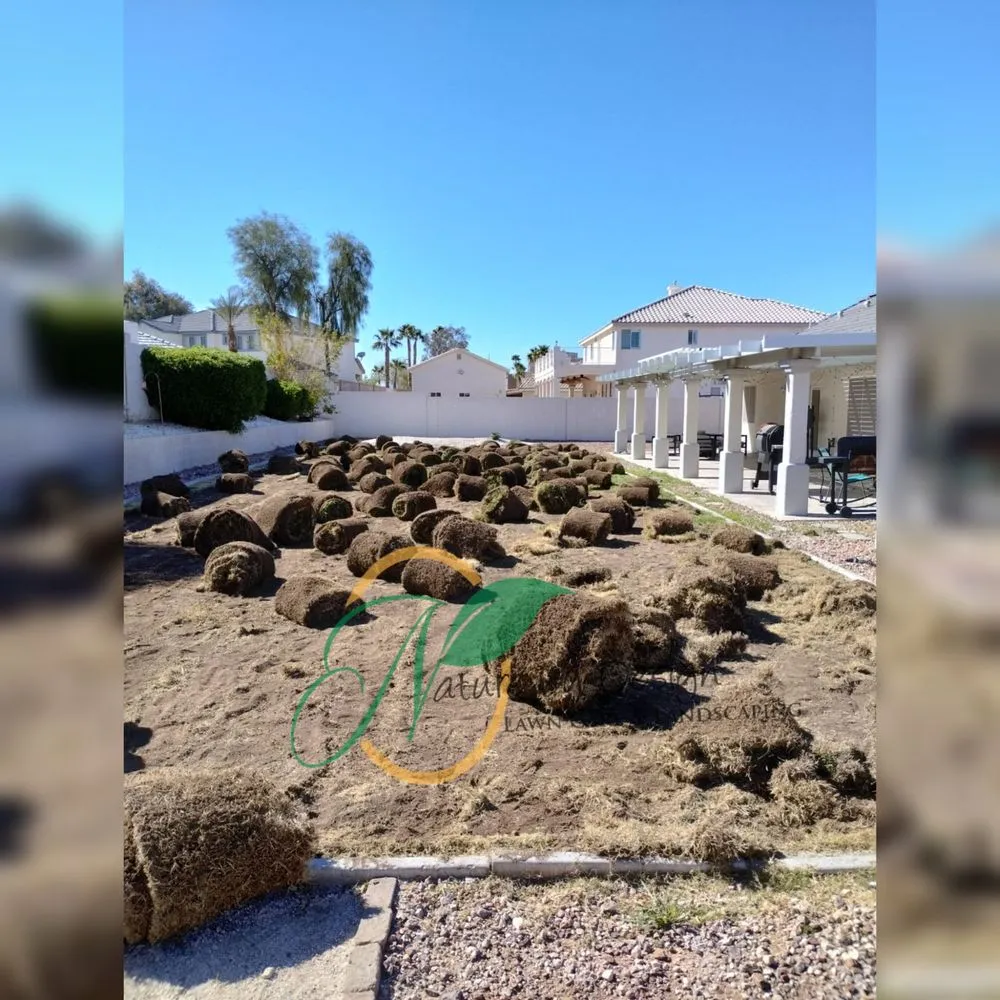 Professional landscaping services for year-round maintenance across Las Vegas, NV - Nature by Design