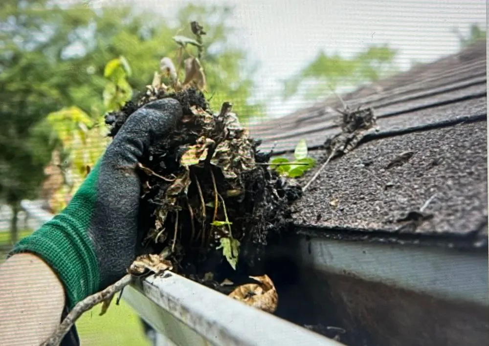 Professional lawn mowing service experts serving Salt Lake City, UT - Nature Cleaning