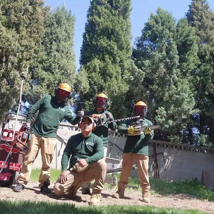 Custom garden landscaping in Salt Lake City, UT - Nature Cleaning