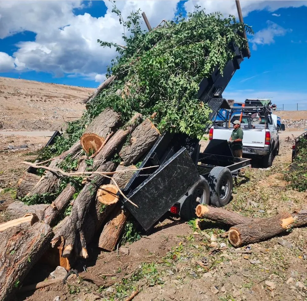 Affordable lawn mowing service for outdoor upgrades across Salt Lake City, UT - Nature Cleaning