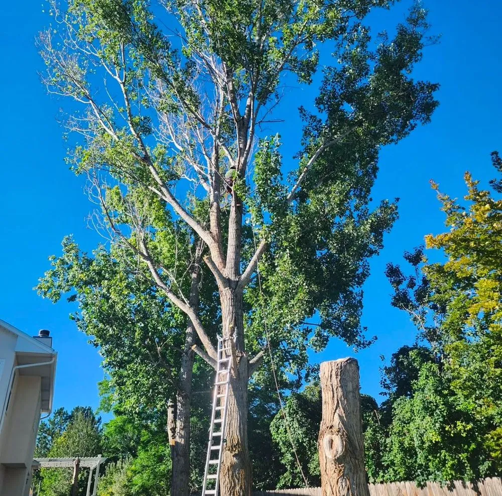 Local garden landscaping for year-round maintenance in Salt Lake City, UT by Nature Cleaning