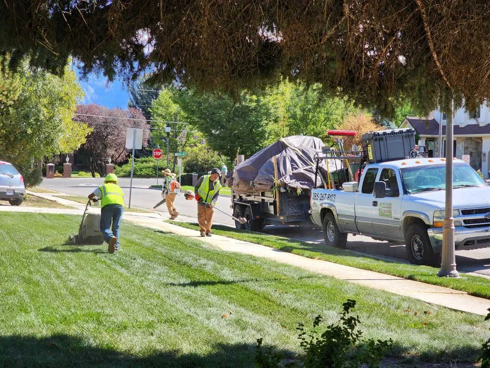 Expert lawn care service in Salt Lake City, UT - Nature Cleaning
