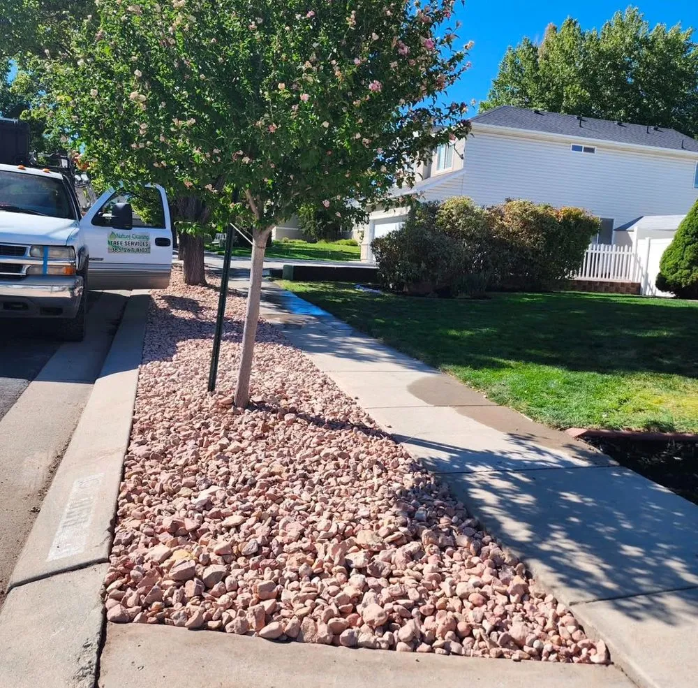Local landscape installation in Salt Lake City, UT - Nature Cleaning