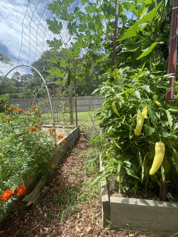 Professional outdoor landscaping in Knoxville, TN - Nature Craft Home