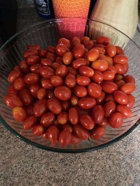 Reliable garden landscaping for outdoor upgrades across Knoxville, TN - Nature Craft Home