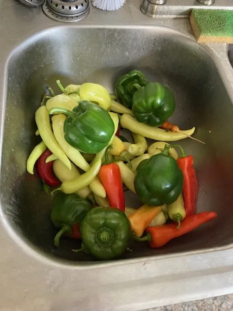 Trusted outdoor landscaping experts serving Knoxville, TN - Nature Craft Home