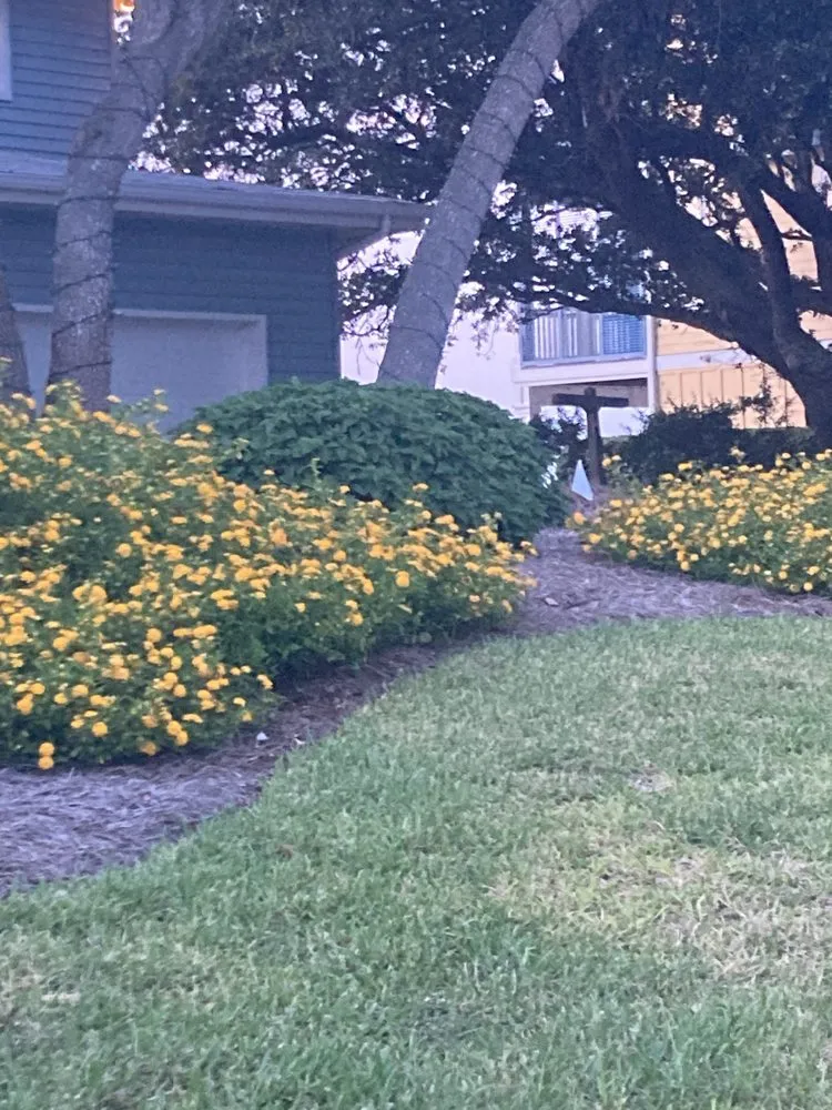 Top-rated landscaping services for residential properties in Knoxville, TN by Nature Craft Home