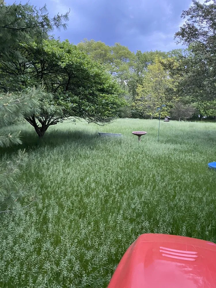 Custom garden landscaping in Valparaiso, IN - Nature Cuts