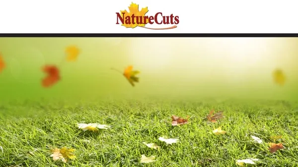 Nature Cuts Logo