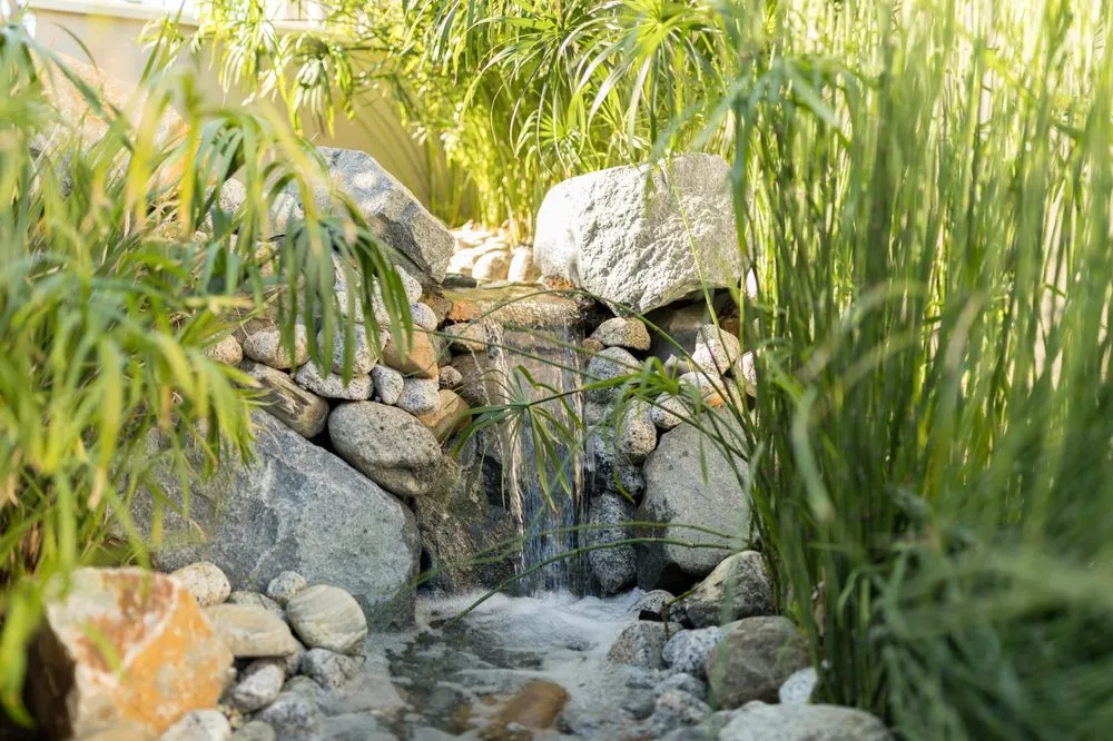 Local yard maintenance with custom design across Vista, CA - Nature Designs Landscaping