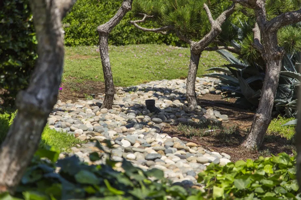 Trusted yard maintenance near you in Vista, CA by Nature Designs Landscaping