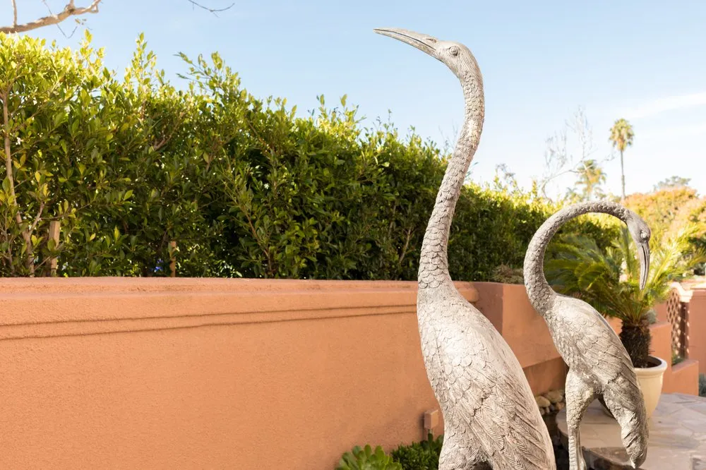 Professional landscape installation in Vista, CA by Nature Designs Landscaping