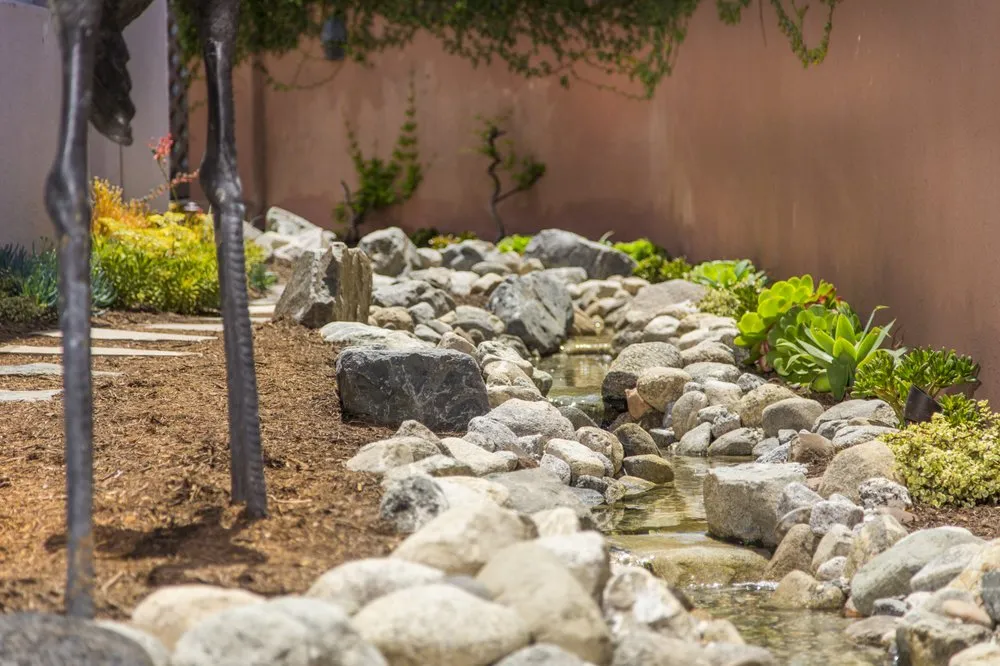 Local yard cleanup service experts serving Vista, CA - Nature Designs Landscaping