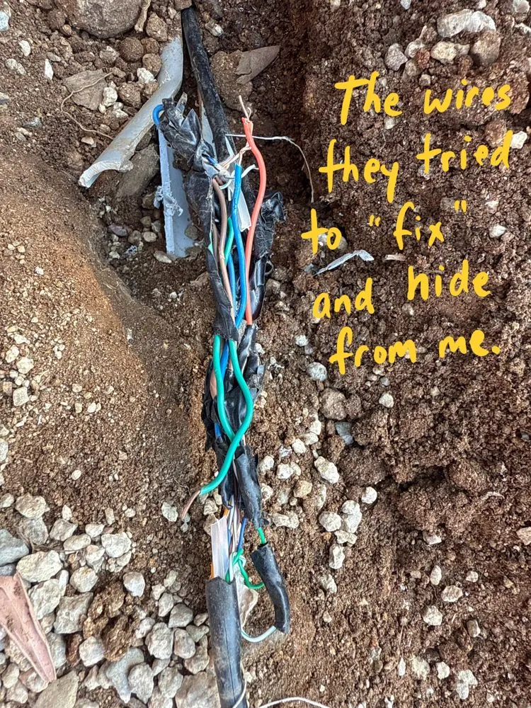 Custom yard cleanup service for beautiful yards across Vista, CA - Nature Designs Landscaping