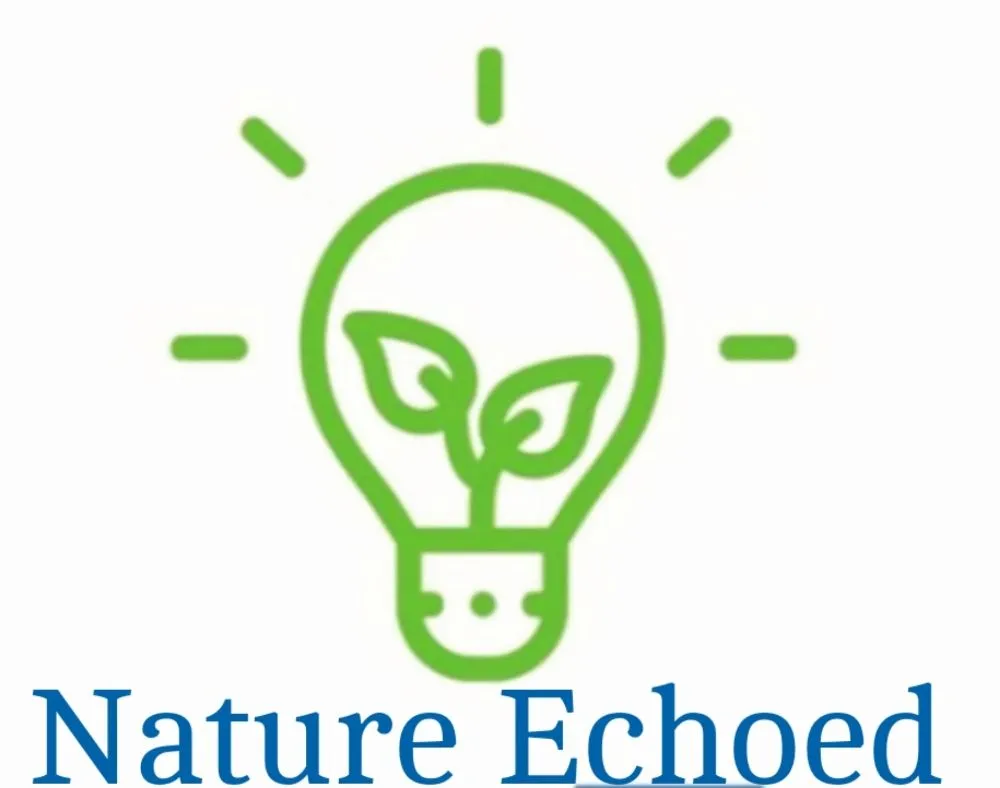 Affordable yard cleanup service in Mountain Home, TX - Nature Echoed