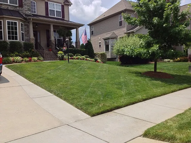 Custom yard cleanup service in Raleigh, NC - Nature First Landscaping