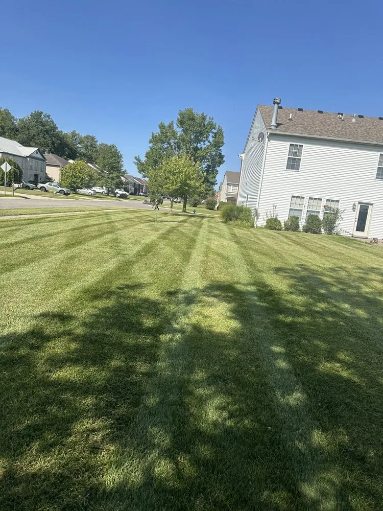 Custom lawn mowing service for outdoor upgrades across Tipton, IN - Nature First Property Management