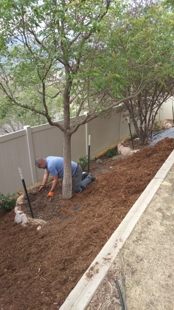 Reliable garden landscaping in Colorado Springs, CO - Nature Friendly Landscaping