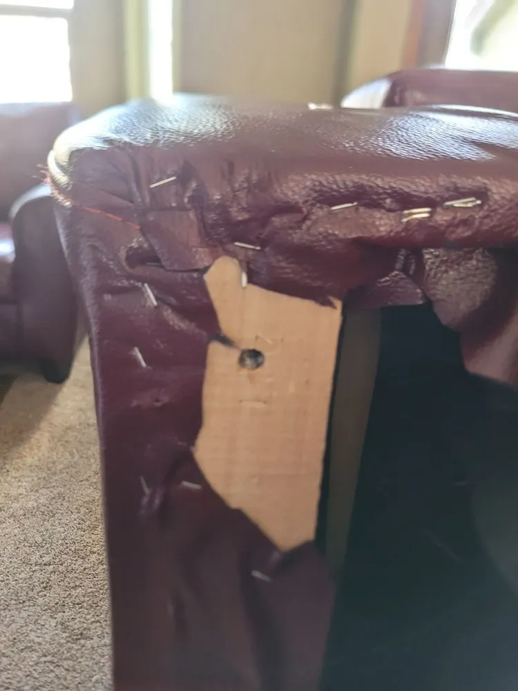 Professional yard cleanup service in Colorado Springs, CO by Nature Friendly Landscaping