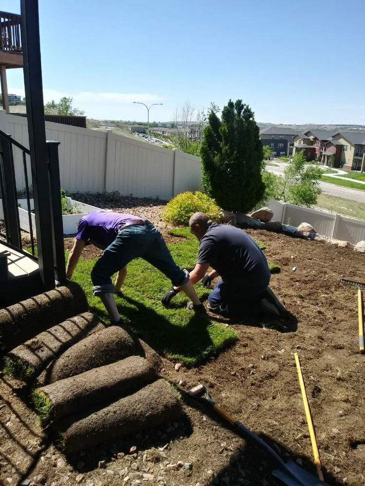 Trusted residential landscaping for year-round maintenance in Colorado Springs, CO by Nature Friendly Landscaping