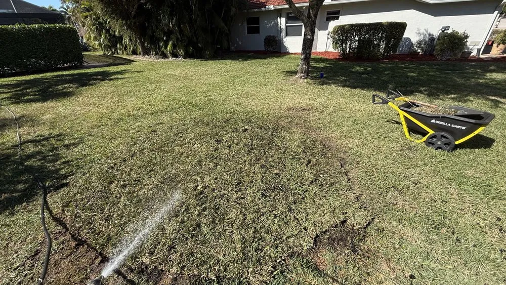 Custom lawn mowing service in Fort Myers, FL by Nature Friendly Landscaping