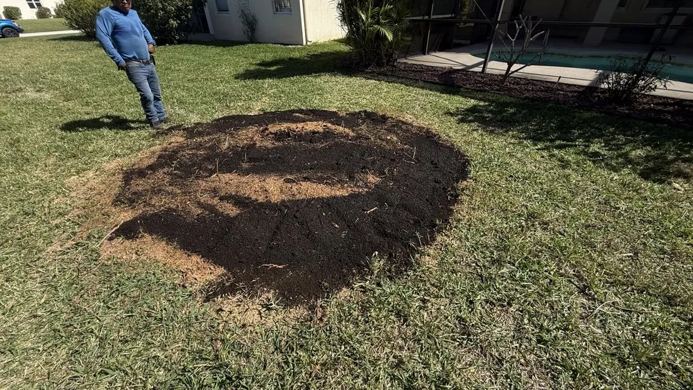 Top-rated yard cleanup service experts serving Fort Myers, FL - Nature Friendly Landscaping
