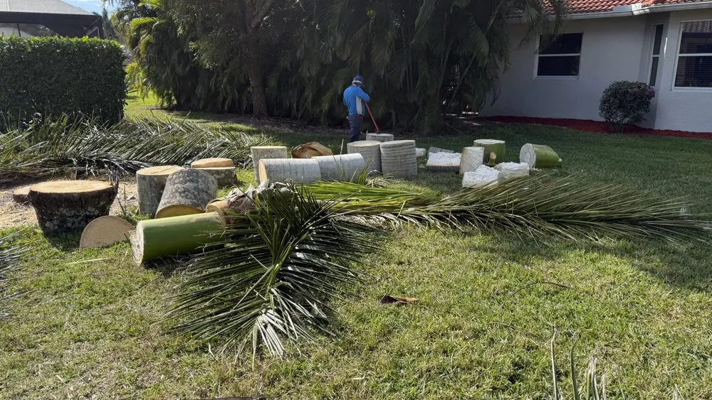 Professional landscape installation near you in Fort Myers, FL by Nature Friendly Landscaping