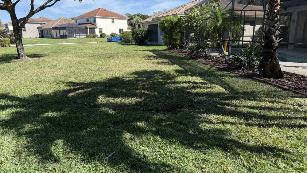 Professional lawn mowing service in Fort Myers, FL - Nature Friendly Landscaping