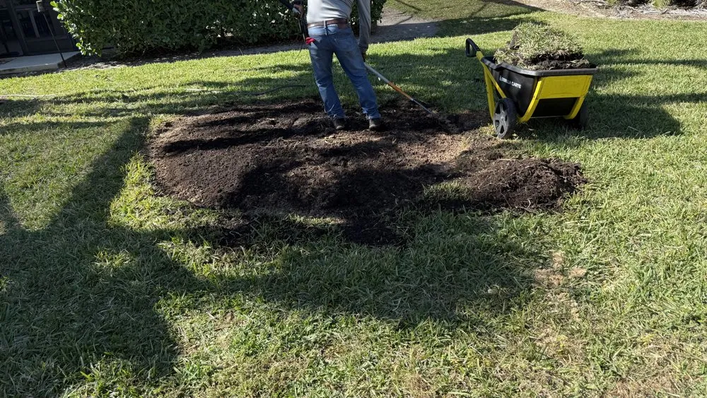 Professional yard maintenance for residential properties across Fort Myers, FL - Nature Friendly Landscaping