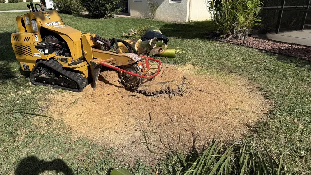 Professional garden landscaping in Fort Myers, FL - Nature Friendly Landscaping