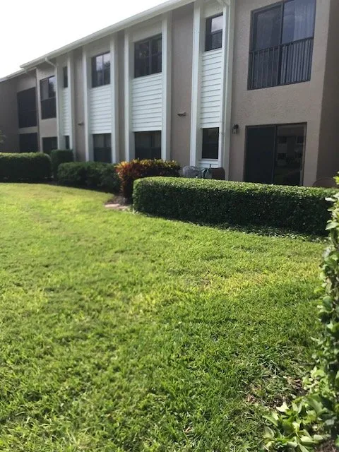 Reliable outdoor landscaping for year-round maintenance in Tampa, FL by Nature Green Lawn Landscaping