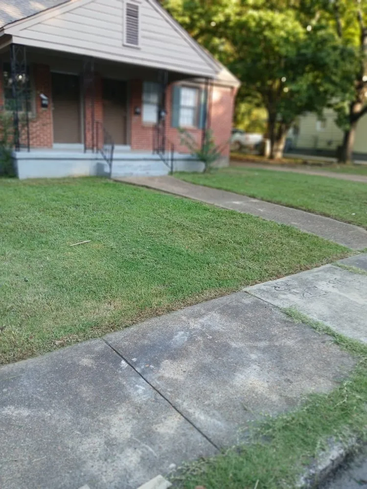 Professional residential landscaping in Memphis, TN - Nature Guy Landscaping