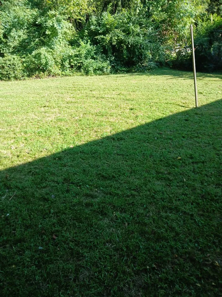 Top-rated yard maintenance for beautiful yards across Memphis, TN - Nature Guy Landscaping