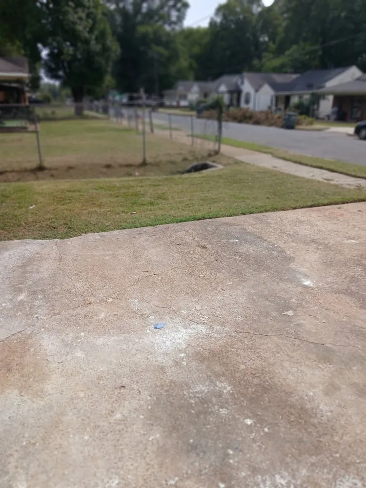 Affordable landscaping services experts serving Memphis, TN - Nature Guy Landscaping