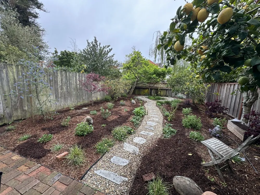 Custom residential landscaping in San Francisco, CA - Nature in the City Gardening