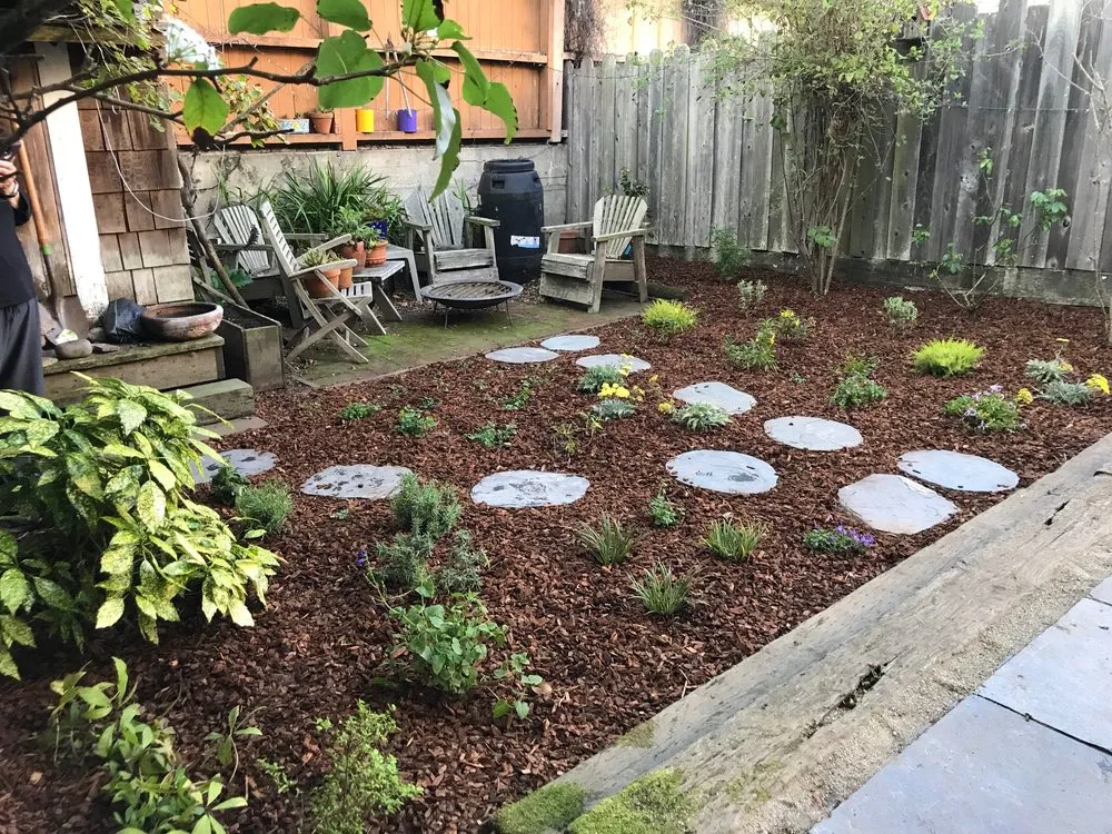 Top-rated residential landscaping in San Francisco, CA by Nature in the City Gardening