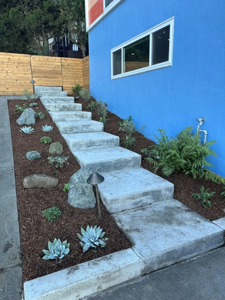 Reliable outdoor landscaping in San Francisco, CA - Nature in the City Gardening