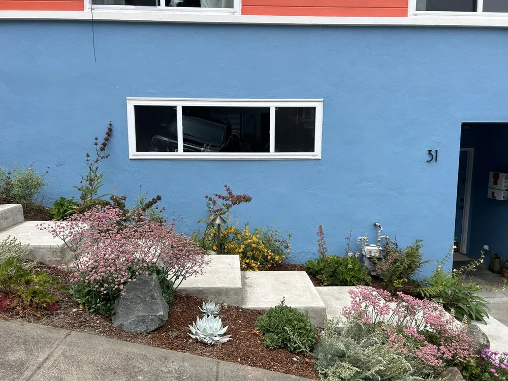 Reliable garden landscaping in San Francisco, CA - Nature in the City Gardening