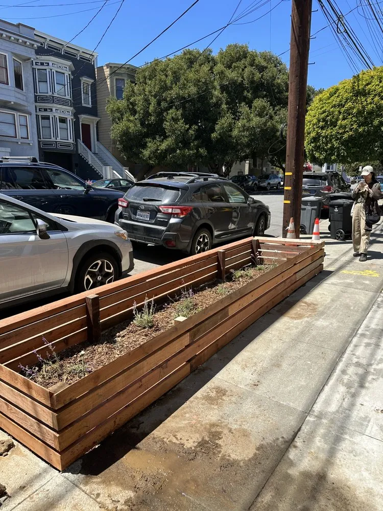 Custom yard maintenance experts serving San Francisco, CA - Nature in the City Gardening