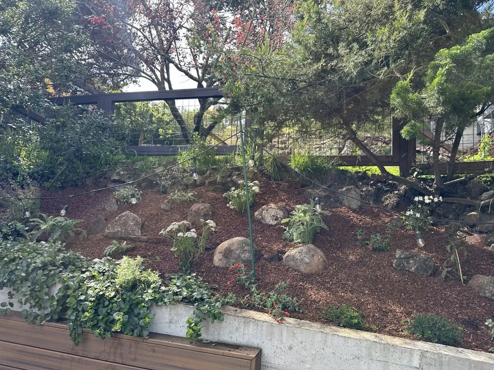 Affordable landscape installation with custom design across San Francisco, CA - Nature in the City Gardening