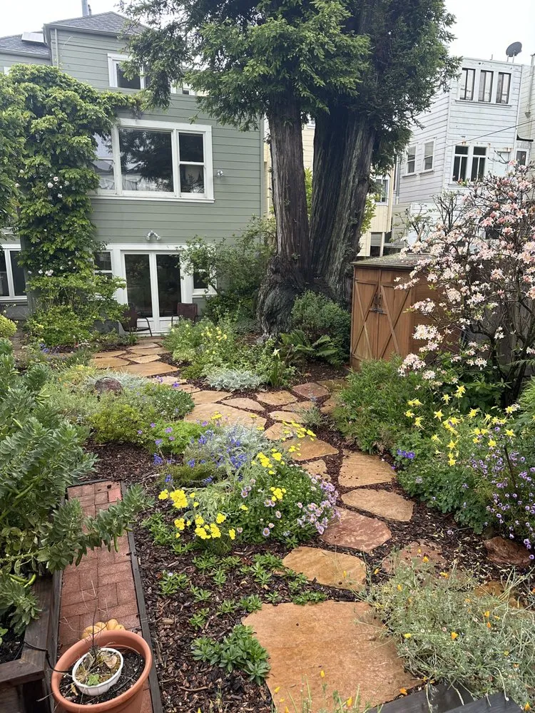Trusted lawn care service for residential properties across San Francisco, CA - Nature in the City Gardening