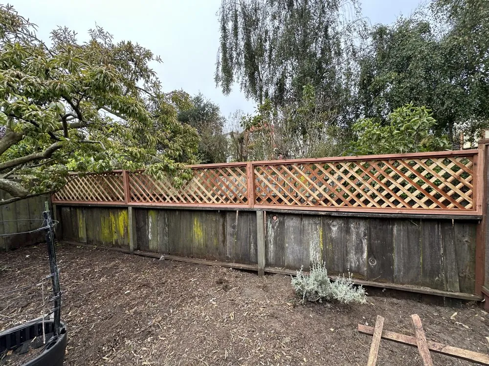 Professional landscape design experts serving San Francisco, CA - Nature in the City Gardening