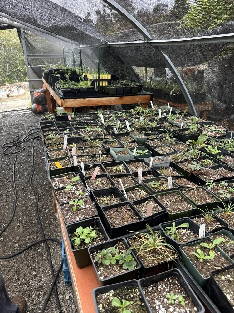 Custom landscape design for outdoor upgrades in San Francisco, CA by Nature in the City Gardening