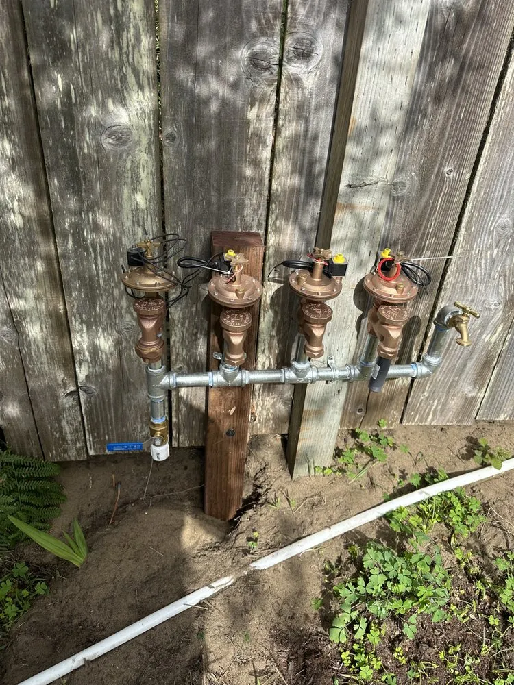 Trusted landscape installation in San Francisco, CA - Nature in the City Gardening