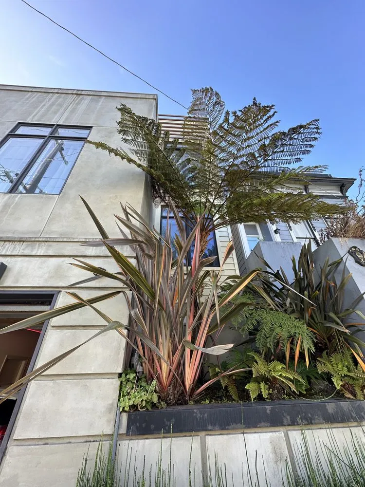 Trusted lawn mowing service in San Francisco, CA by Nature in the City Gardening