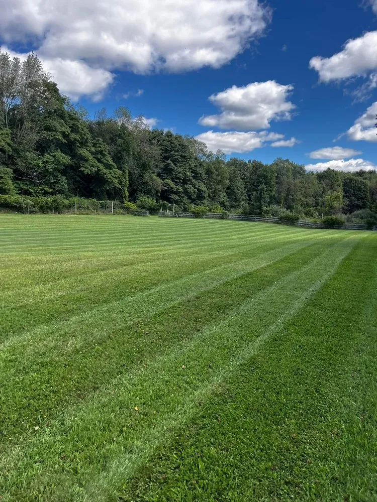 Professional yard maintenance experts serving Lapeer, MI - Nature Is Art Lawncare