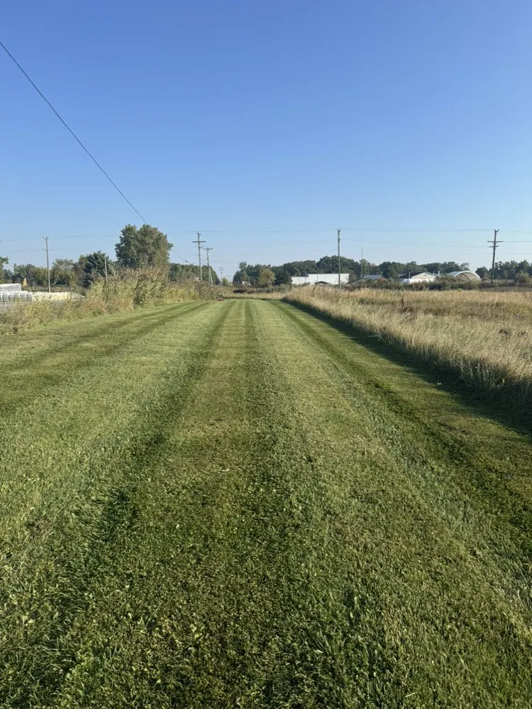 Top-rated garden landscaping experts serving Lapeer, MI - Nature Is Art Lawncare